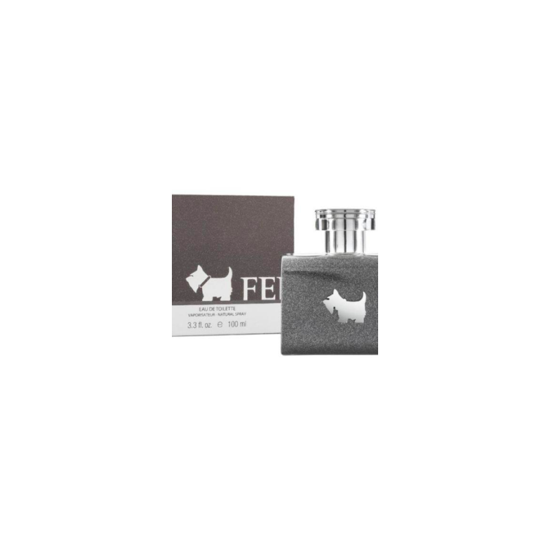Perfume Ferrioni Grey Terrier Para Hombre De Terrier EDT 100ML